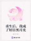 重生后,我成了奸臣黑月光