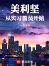 美利坚,从实习警员开始