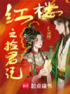 红楼之捡君记